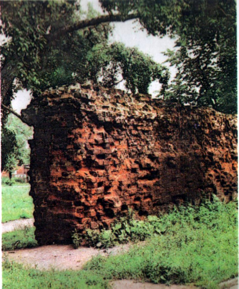 Fragment średniowiecznych murów obronnych